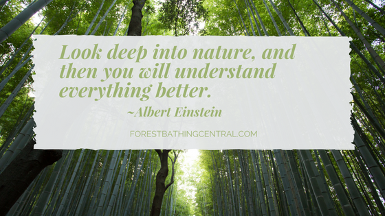 shinrin-yoku quote - Forest Bathing Central