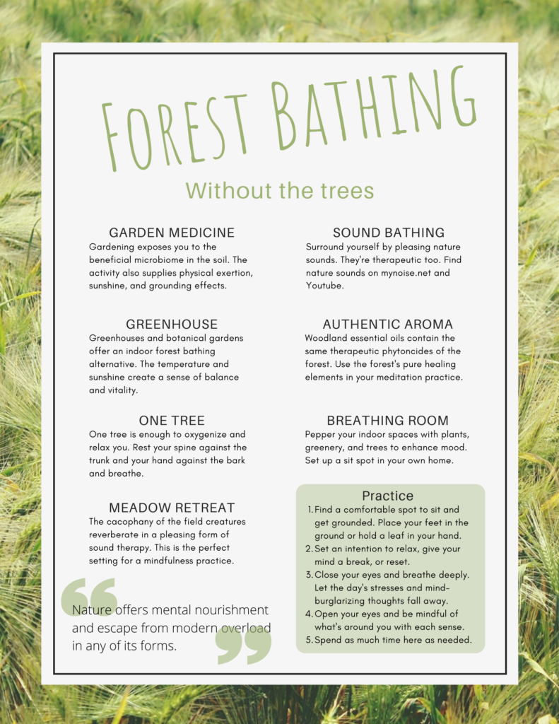 Treeless Forest Bathing Tear Sheet