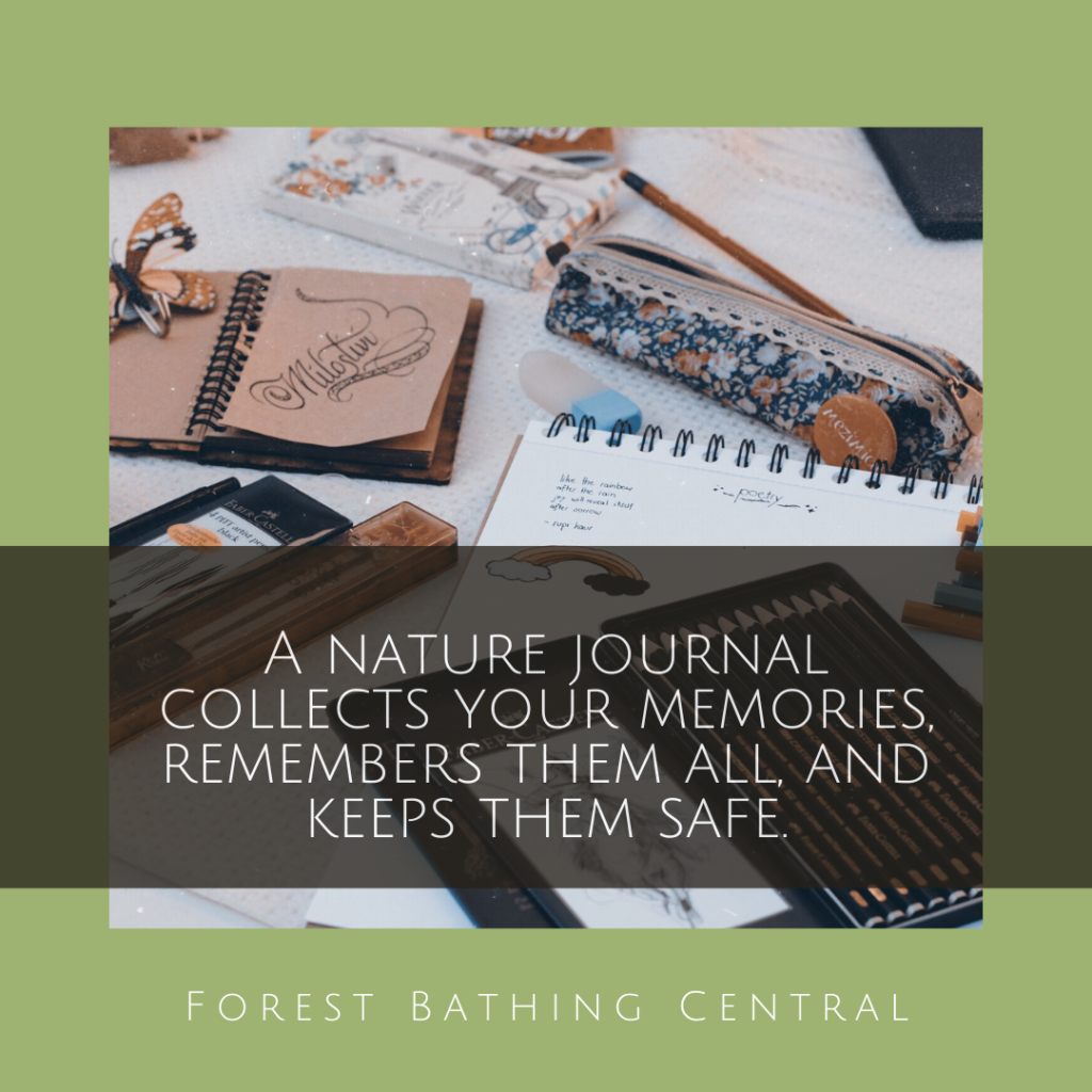 Blog - Forest Bathing Central forest bathing shinrin-yoku resources and ...